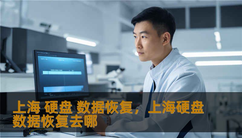 上海 硬盘 数据恢复，上海硬盘数据恢复去哪