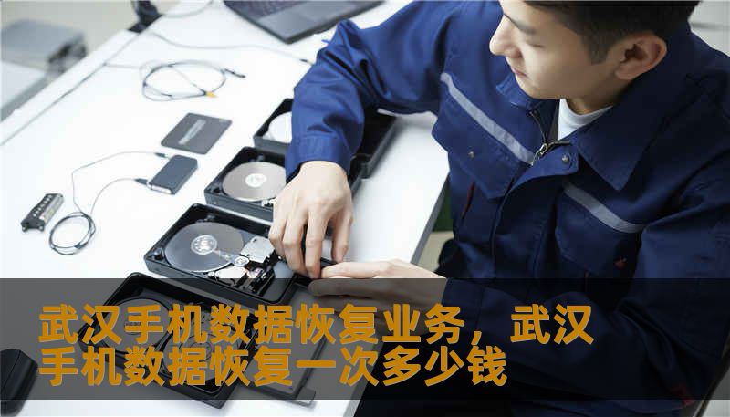 武汉手机数据恢复业务，武汉手机数据恢复一次多少钱