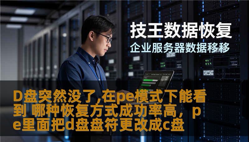 D盘突然没了,在pe模式下能看到 哪种恢复方式成功率高，pe里面把d盘盘符更改成c盘