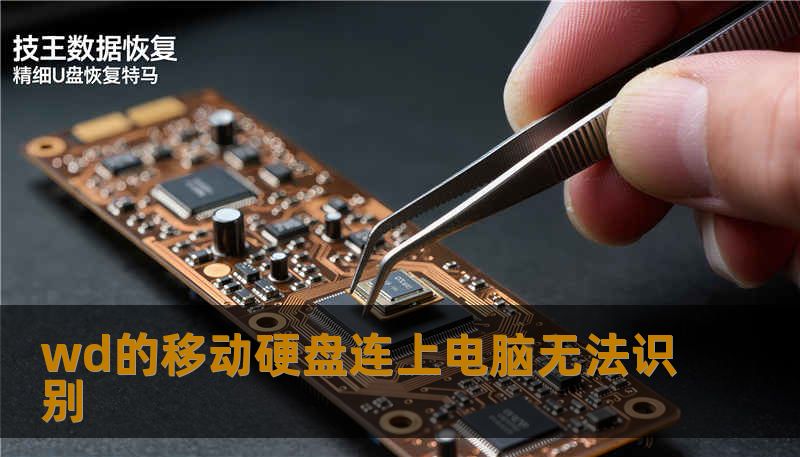 wd的移动硬盘连上电脑无法识别