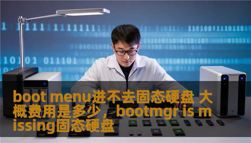 boot menu进不去固态硬盘 大概费用是多少，bootmgr is missing固态硬盘
