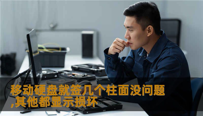 移动硬盘就签几个柱面没问题,其他都显示损坏 移动硬盘就签几个柱面没问题,其他都显示损坏