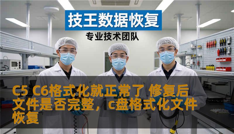 C5 C6格式化就正常了 修复后文件是否完整,c盘格式化文件恢复 C5 C6格式化就正常了 修复后文件是否完整,c盘格式化文件恢复