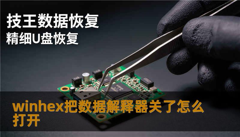 winhex把数据解释器关了怎么打开