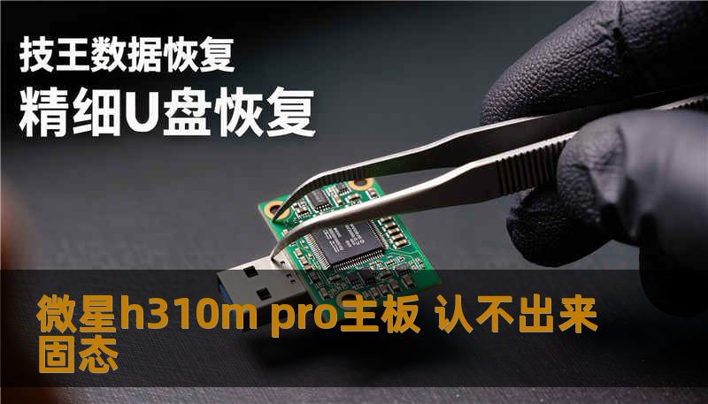 微星h310m pro主板 认不出来固态 微星h310m pro主板 认不出来固态