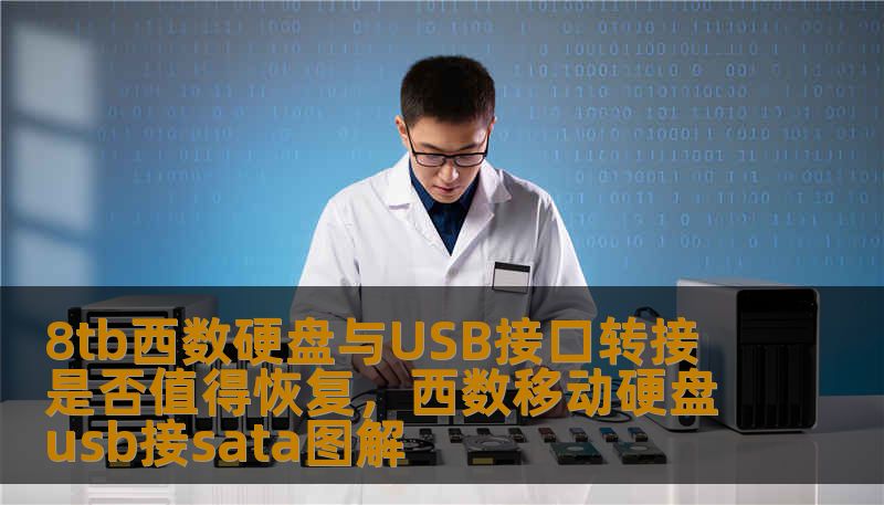 8tb西数硬盘与USB接口转接 是否值得恢复,西数移动硬盘usb接sata图解 8tb西数硬盘与USB接口转接 是否值得恢复,西数移动硬盘usb接sata图解