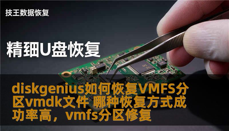 diskgenius如何恢复VMFS分区vmdk文件 哪种恢复方式成功率高,vmfs分区修复 diskgenius如何恢复VMFS分区vmdk文件 哪种恢复方式成功率高,vmfs分区修复