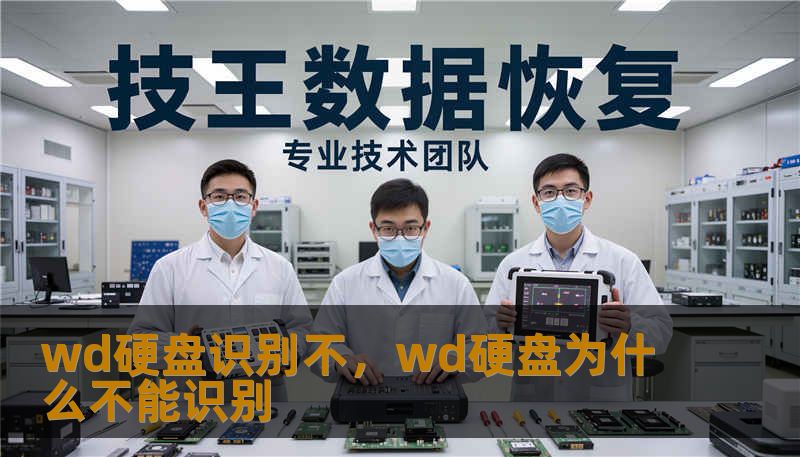 wd硬盘识别不，wd硬盘为什么不能识别