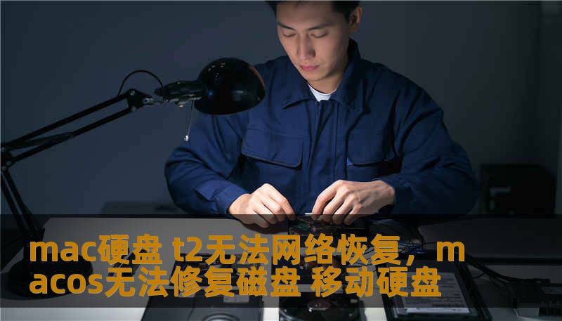 mac硬盘 t2无法网络恢复，macos无法修复磁盘 移动硬盘