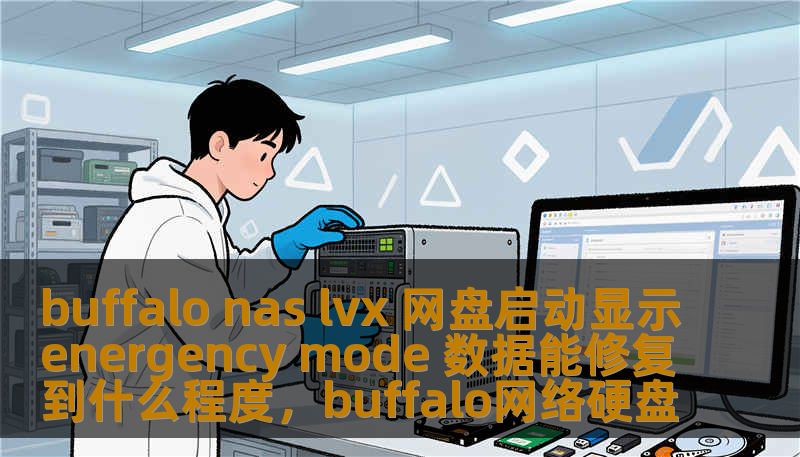 buffalo nas lvx 网盘启动显示energency mode 数据能修复到什么程度，buffalo网络硬盘