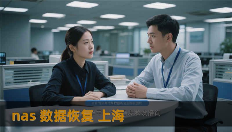 nas 数据恢复 上海
