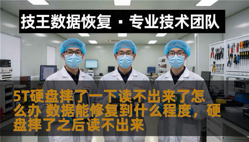 5T硬盘摔了一下读不出来了怎么办 数据能修复到什么程度,硬盘摔了之后读不出来 5T硬盘摔了一下读不出来了怎么办 数据能修复到什么程度,硬盘摔了之后读不出来