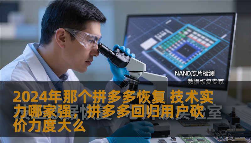 2024年那个拼多多恢复 技术实力哪家强，拼多多回归用户砍价力度大么