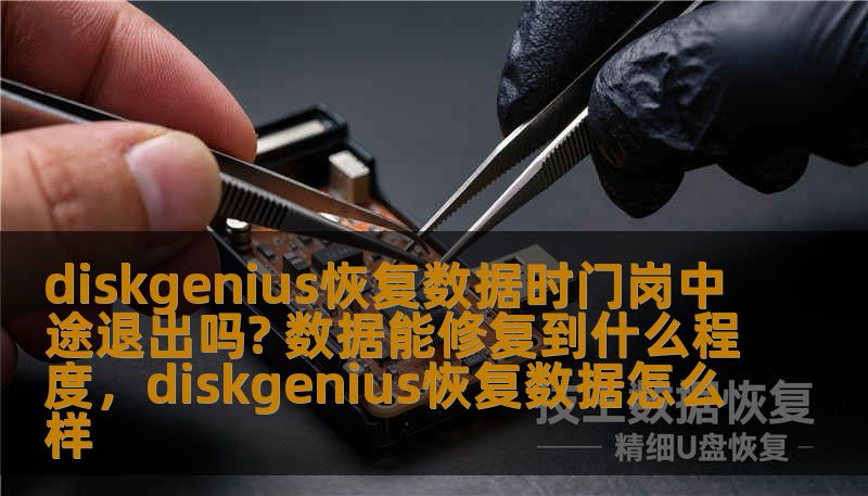 diskgenius恢复数据时门岗中途退出吗? 数据能修复到什么程度,diskgenius恢复数据怎么样 diskgenius恢复数据时门岗中途退出吗? 数据能修复到什么程度,diskgenius恢复数据怎么样