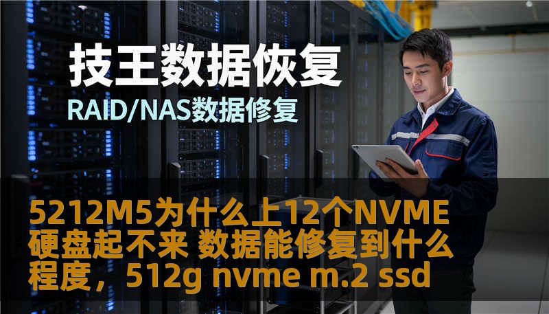 5212M5为什么上12个NVME硬盘起不来 数据能修复到什么程度，512g nvme m.2 ssd