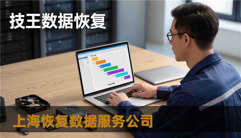 上海恢复数据服务公司