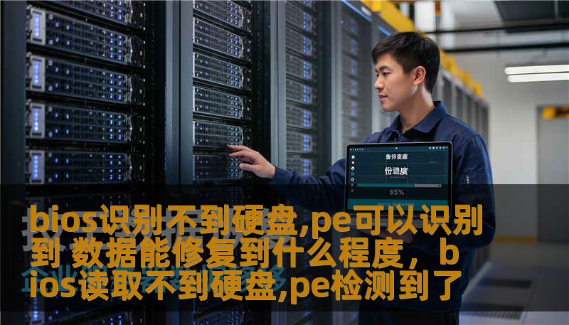 bios识别不到硬盘,pe可以识别到 数据能修复到什么程度，bios读取不到硬盘,pe检测到了