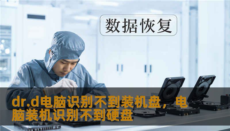 dr.d电脑识别不到装机盘，电脑装机识别不到硬盘
