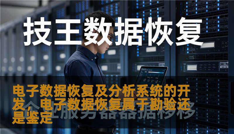 电子数据恢复及分析系统的开发，电子数据恢复属于勘验还是鉴定
