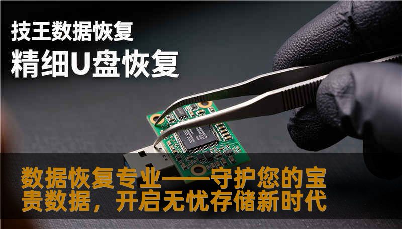数据恢复专业——守护您的宝贵数据，开启无忧存储新时代