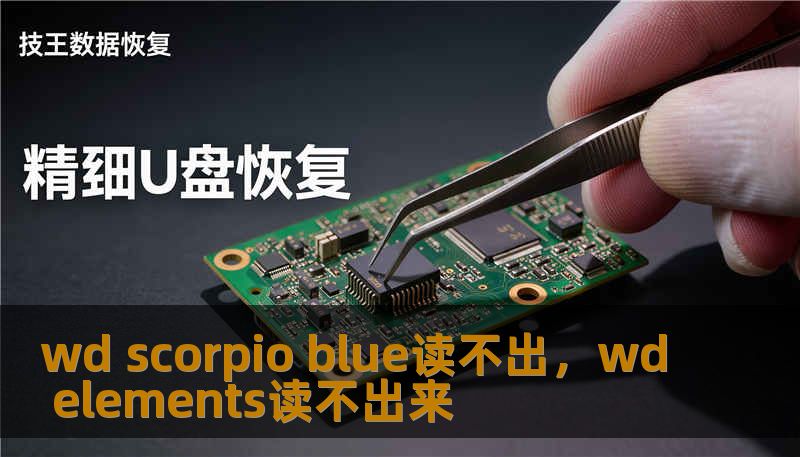 wd scorpio blue读不出，wd elements读不出来