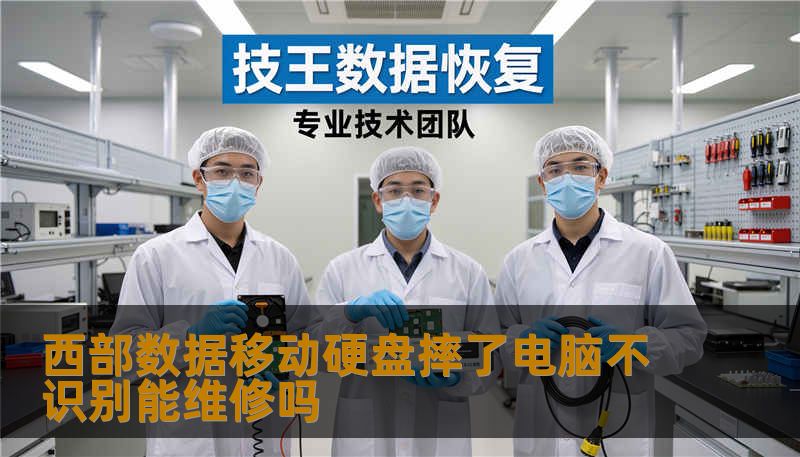 西部数据移动硬盘摔了电脑不识别能维修吗 西部数据移动硬盘摔了电脑不识别能维修吗