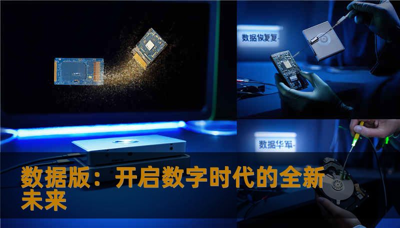 数据版：开启数字时代的全新未来