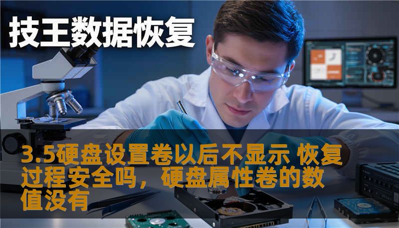 3.5硬盘设置卷以后不显示 恢复过程安全吗，硬盘属性卷的数值没有