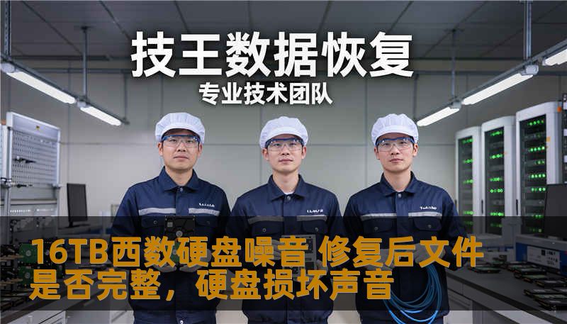 16TB西数硬盘噪音 修复后文件是否完整，硬盘损坏声音