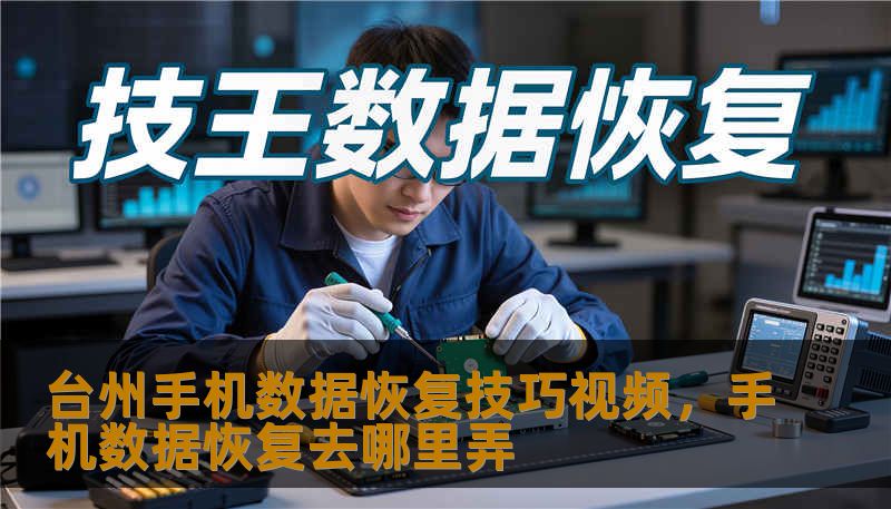 台州手机数据恢复技巧视频，手机数据恢复去哪里弄