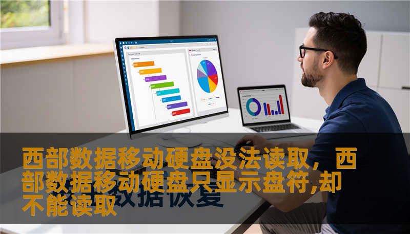 西部数据移动硬盘没法读取，西部数据移动硬盘只显示盘符,却不能读取