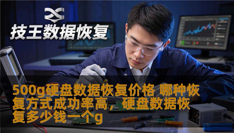 500g硬盘数据恢复价格 哪种恢复方式成功率高，硬盘数据恢复多少钱一个g