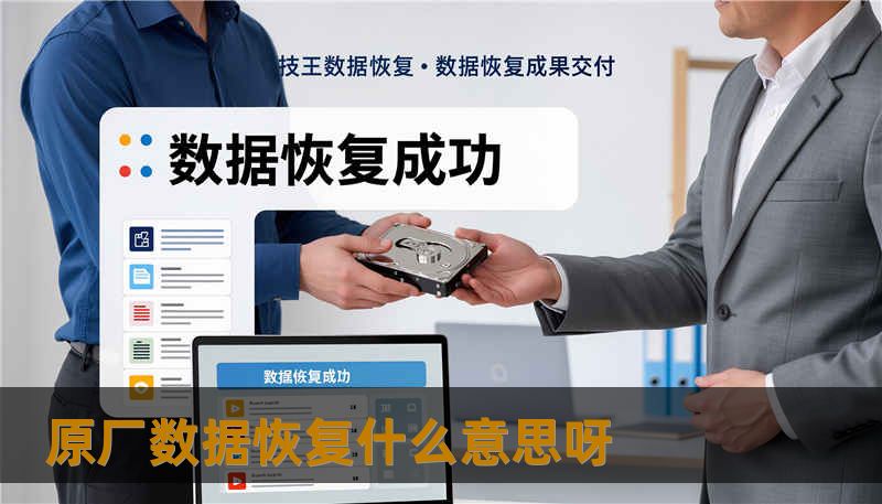 原厂数据恢复什么意思呀