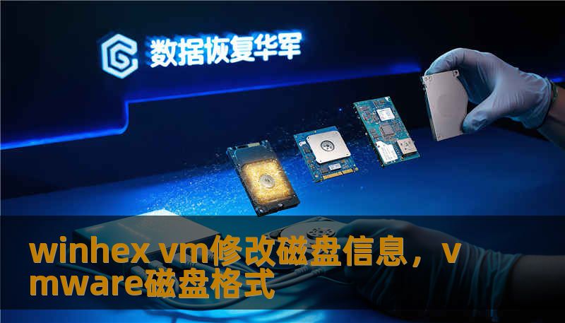 winhex vm修改磁盘信息，vmware磁盘格式