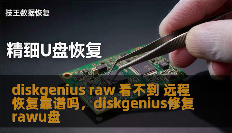 diskgenius raw 看不到 远程恢复靠谱吗，diskgenius修复rawu盘