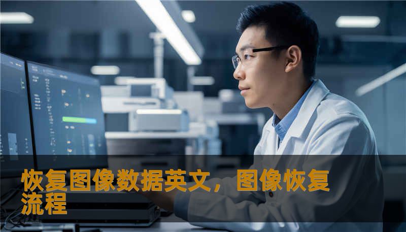 恢复图像数据英文，图像恢复流程