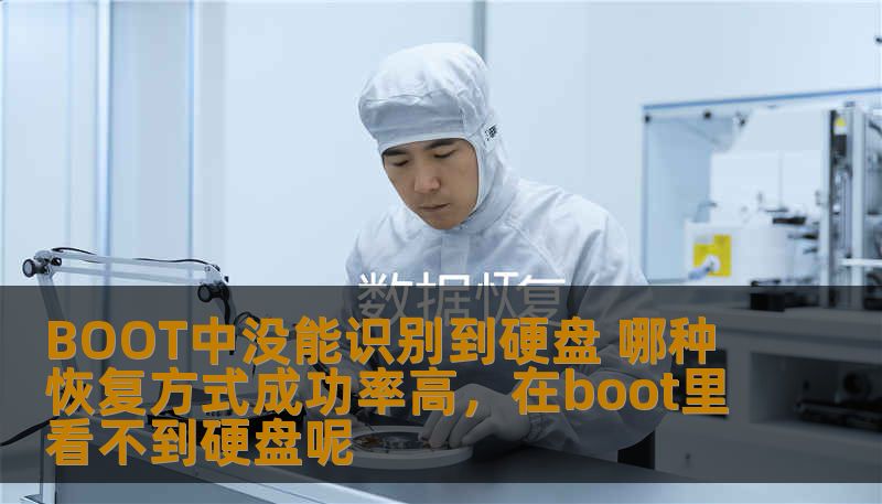 BOOT中没能识别到硬盘 哪种恢复方式成功率高，在boot里看不到硬盘呢