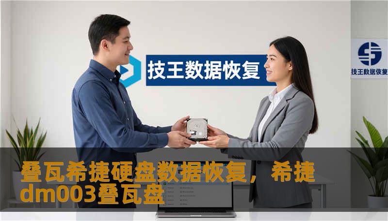 叠瓦希捷硬盘数据恢复，希捷dm003叠瓦盘
