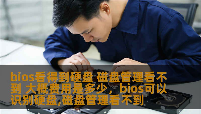 bios看得到硬盘 磁盘管理看不到 大概费用是多少，bios可以识别硬盘,磁盘管理看不到