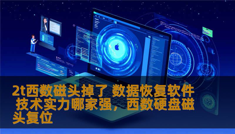 2t西数磁头掉了 数据恢复软件 技术实力哪家强，西数硬盘磁头复位