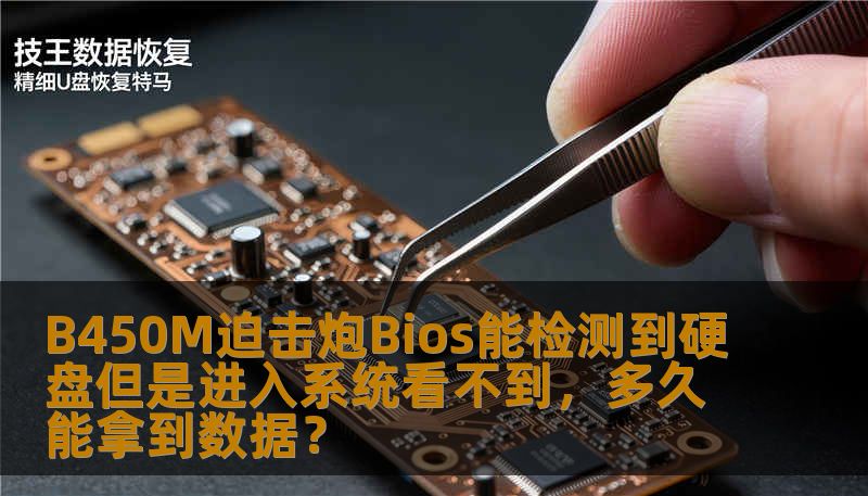 B450M迫击炮Bios能检测到硬盘但是进入系统看不到，多久能拿到数据？