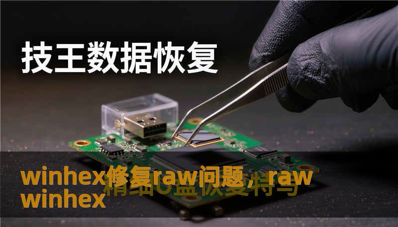 winhex修复raw问题，raw winhex