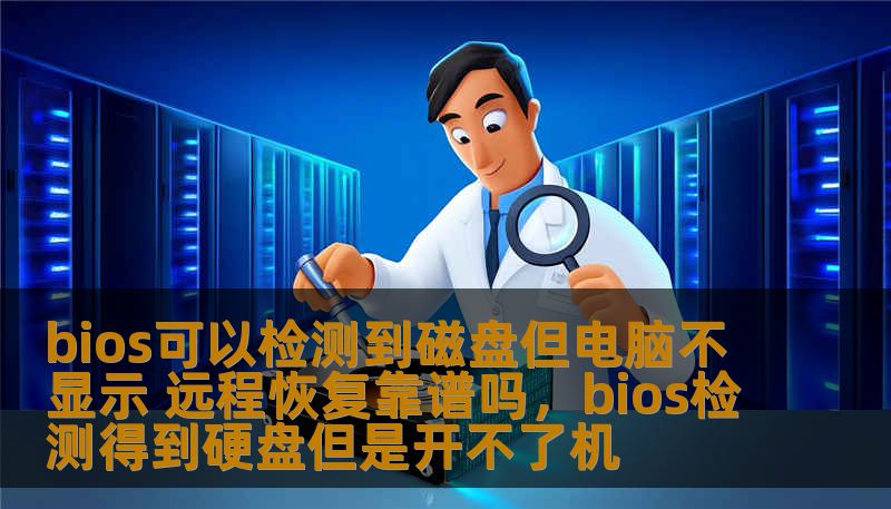 bios可以检测到磁盘但电脑不显示 远程恢复靠谱吗，bios检测得到硬盘但是开不了机