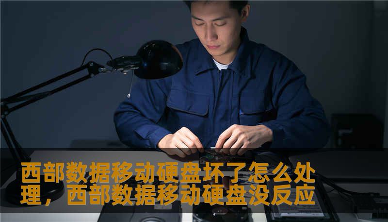 西部数据移动硬盘坏了怎么处理，西部数据移动硬盘没反应