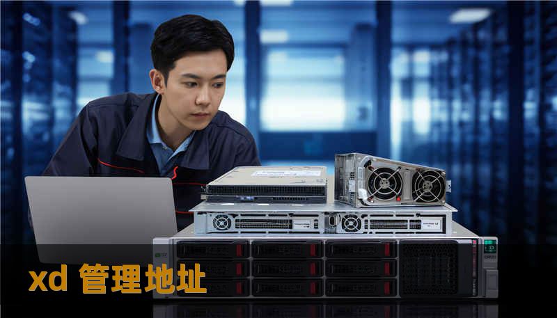 xd 管理地址