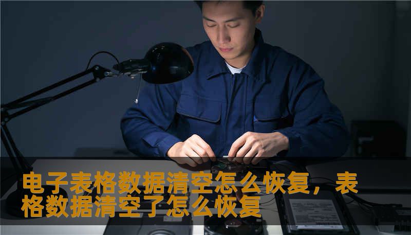 电子表格数据清空怎么恢复，表格数据清空了怎么恢复