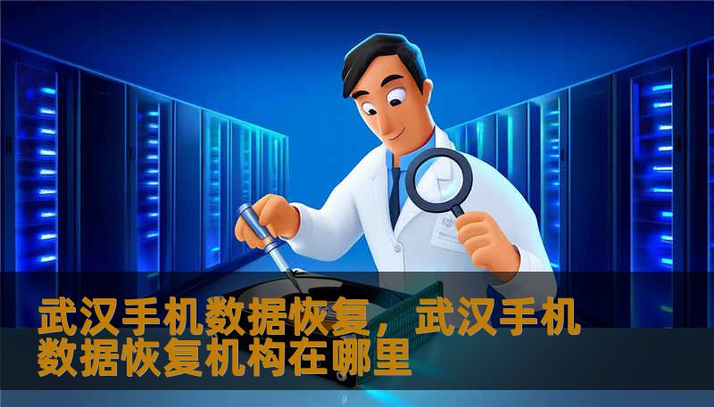 武汉手机数据恢复，武汉手机数据恢复机构在哪里