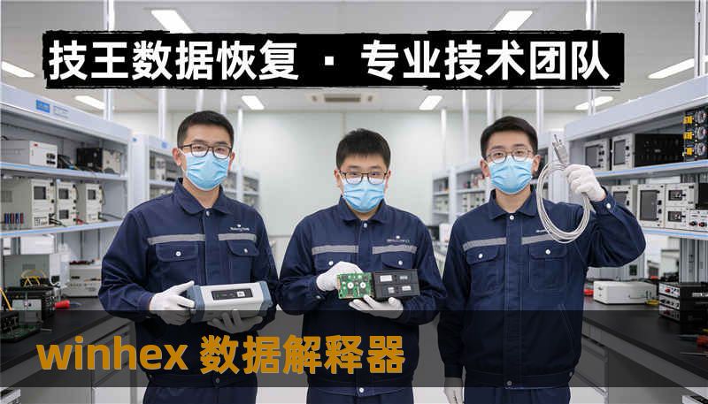 winhex 数据解释器