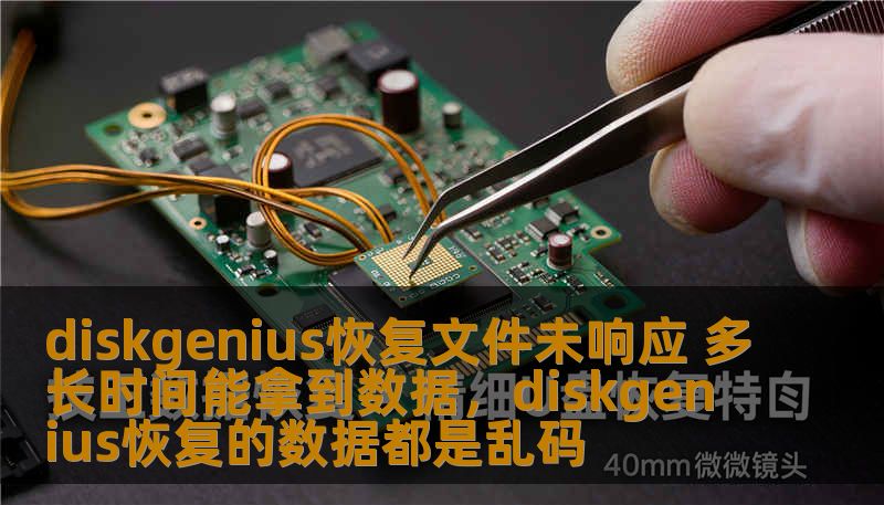 diskgenius恢复文件未响应 多长时间能拿到数据，diskgenius恢复的数据都是乱码
