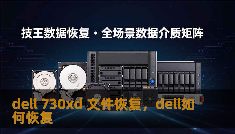 dell 730xd 文件恢复，dell如何恢复